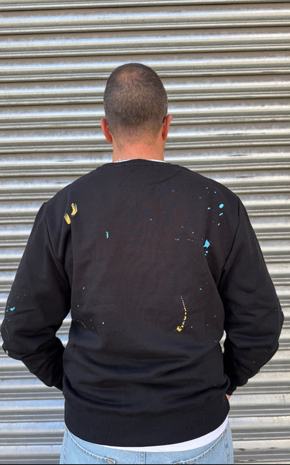 Felpa girocollo DS2 296